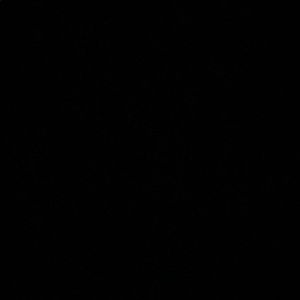 Meet your Posher, Ellis